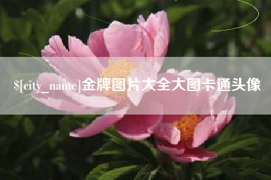 大同金牌图片大全大图卡通头像