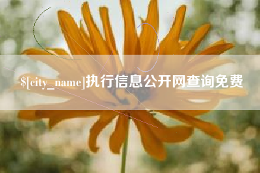 大同执行信息公开网查询免费