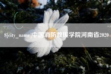 大同中国消防救援学院河南省2020